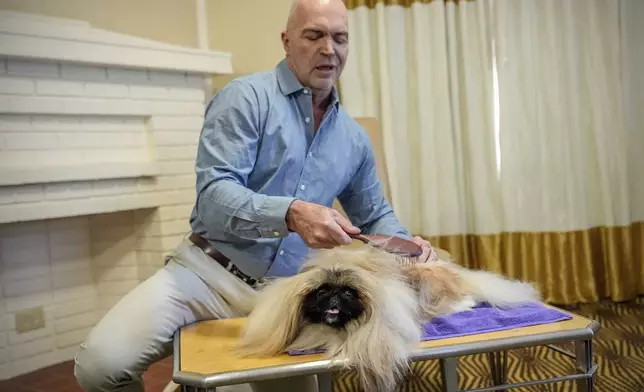 President of the Westminster Kennel Club Donald Sturz shows Fiona, his pet pekingese, during an interview with The Associated Press at The New Yorker hotel, Thursday, Jan. 30, 2025, in New York. (AP Photo/Julia Demaree Nikhinson)