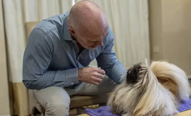 President of the Westminster Kennel Club Donald Sturz shows Fiona, his pet pekingese, during an interview with The Associated Press at The New Yorker hotel, Thursday, Jan. 30, 2025, in New York. (AP Photo/Julia Demaree Nikhinson)