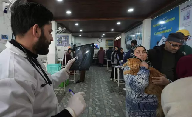 Yaseen, a doctor, examines an X-ray of a pet cat at the Kashmir veterinary hospital in Srinagar, Indian controlled Kashmir, Thursday, Feb. 6, 2025. (AP Photo/Mukhtar Khan)