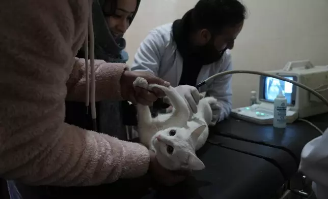Yaseen, a doctor, examines a pet at the Kashmir veterinary hospital in Srinagar, Indian controlled Kashmir, Thursday, Feb. 6, 2025. (AP Photo/Mukhtar Khan)