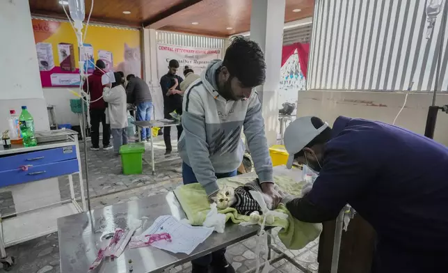 A cat named Luna receives treatment at Kashmir veterinary hospital in Srinagar, Indian controlled Kashmir, Friday, Feb. 7, 2025. (AP Photo/Mukhtar Khan)