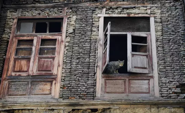 A stray cat looks out from the window of a house in Srinagar, Indian controlled Kashmir, Thursday, Feb. 13, 2025 (AP Photo/Mukhtar Khan)
