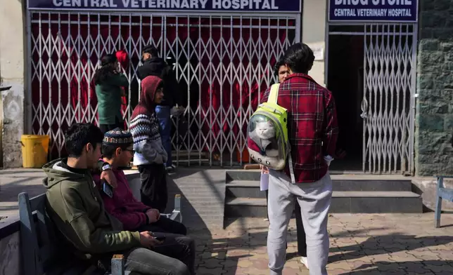 People wait with their pet cats outside Kashmir veterinary hospital in Srinagar, Indian controlled Kashmir, Thursday, Feb. 6, 2025. (AP Photo/Mukhtar Khan)