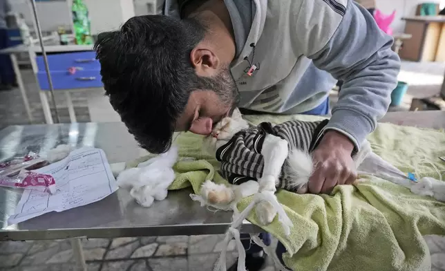 Fazan, a Kashmiri boy, kisses Luna his pet cat at the Kashmir veterinary hospital in Srinagar, Indian controlled Kashmir, Friday, Feb. 7, 2025. (AP Photo/Mukhtar Khan)