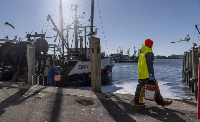 A fisherman carries supplies to a boat in the Port of Galilee, a fishing village in Narragansett, R.I., Wednesday, Jan. 15, 2025. (AP Photo/David Goldman)