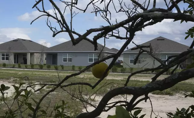 A new residential neighborhood is under construction in a former citrus grove, Tuesday, Feb. 18, 2025, in Lake Wales, Fla. (AP Photo/Marta Lavandier)