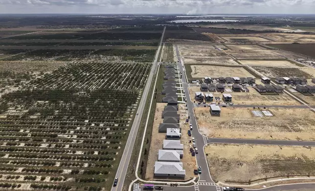 New homes are under construction in former citrus groves, Tuesday, Feb. 18, 2025, in Lake Wales, Fla. Many growers are selling their citrus groves after years of hurricanes, freezes and the devastating effects of citrus greening. (AP Photo/Daniel Kozin)