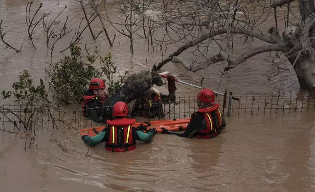 Emergency teams rescue a dog from flooded areas after heavy rains in Malaga, Spain, Tuesday, March 18, 2025. (AP Photo/Gregorio Marrero)