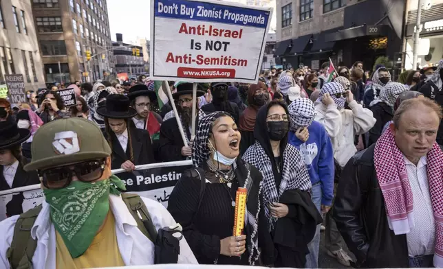 Protesters demonstrate in support of Palestinian activist Mahmoud Khalil at Washington Square Park, Tuesday, March 11, 2025, in New York. (AP Photo/Yuki Iwamura)