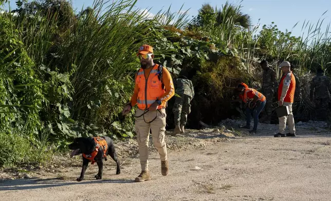 A member of civil defense canine unit searches for Sudiksha Konanki, a university student from the U.S. who disappeared on a beach in Punta Cana, Dominican Republic, Monday, March. 10, 2025. (AP Photo/Francesco Spotorno)