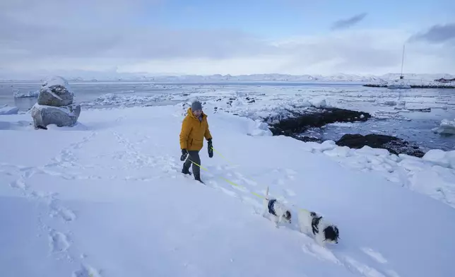 A woman walks with her dogs on a beach in Nuuk, Greenland, Tuesday, March 4, 2025. (AP Photo/Evgeniy Maloletka)