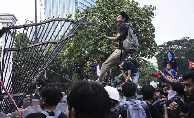 Protesters tear down the fence at parliament in Jakarta, Indonesia, Thursday, March 20, 2025, during a rally against the passing of a controversial revision of a military law that will allow military officers to serve in more government posts without resigning from the armed forces. (AP Photo/Tatan Syuflana)