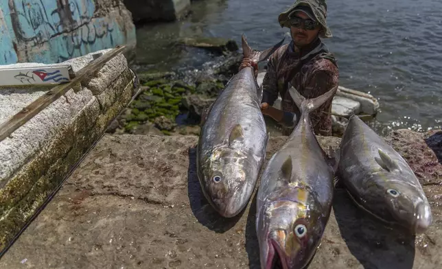 A fisherman places the day's catch on the boardwalk after fishing on a makeshift raft in Cojimar, east of Havana, Wednesday, March 12, 2025. (AP Photo/Ramon Espinosa)