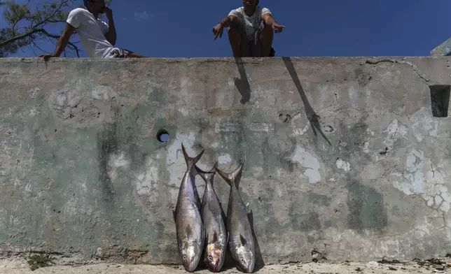 People relax next to the day's catch after fishing on makeshift rafts in Cojimar, east of Havana, Wednesday, March 12, 2025. (AP Photo/Ramon Espinosa)
