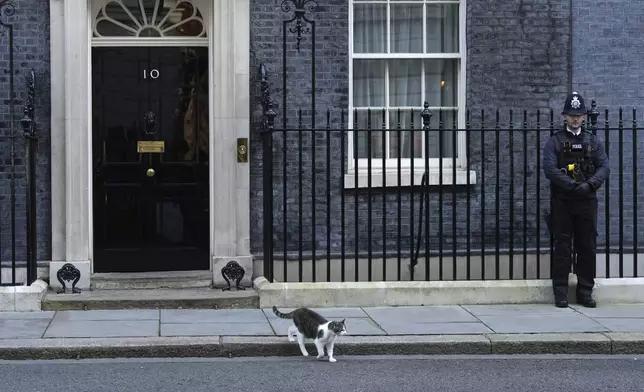 Larry the cat, and Chief Mouser to the Cabinet Office takes a walk from 10 Downing Street as the media wait for the arrival of Italy's Prime Minister Giorgia Meloni who will meet Britain's Prime Minister Keir Starmer for talks in Downing Street, London, Sunday, March 2, 2025. (AP Photo/Frank Augstein)