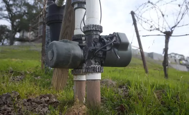 Two Lumo smart irrigation valves, which control different irrigation blocks, are shown in a Cabernet Sauvignon vineyard as Tyler Klick, Partner/Viticulturist of Redwood Empire Vineyard Management, is interviewed in Geyserville, Calif., Friday, Jan. 24, 2025. (AP Photo/Jeff Chiu)
