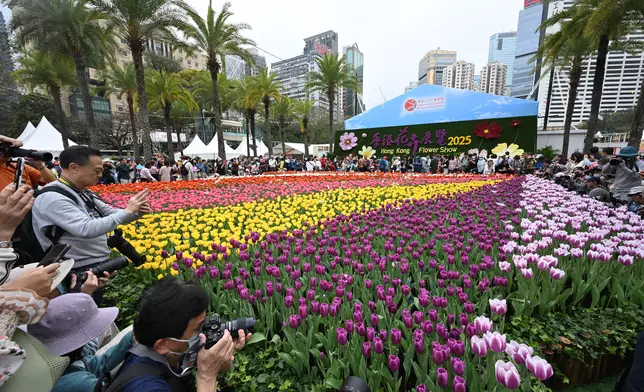 Hong Kong Flower Show opens today  Source: HKSAR Government Press Releases