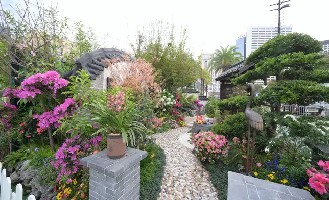 Winners of Hong Kong Flower Show plant exhibit competition announced  Source: HKSAR Government Press Releases