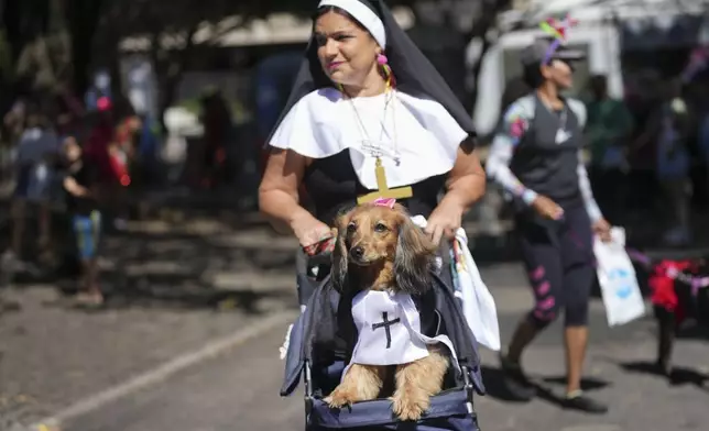 An owner and her pet named "Dinho" take part in the "Blocao" dog carnival parade in Rio de Janeiro, Brazil, Saturday, March 1, 2025. (AP Photo/Silvia Izquierdo)