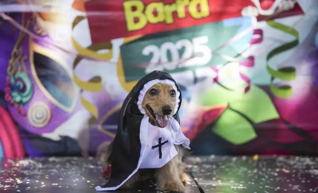 A dog named Dinho wears a nun costume at the "Blocao" dog carnival parade in Rio de Janeiro, Brazil, Saturday, March 1, 2025. (AP Photo/Silvia Izquierdo)