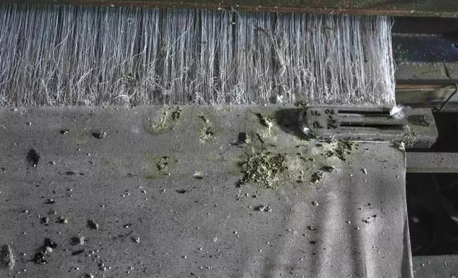 Bird droppings gather on an unfinished piece of clothe at a nonoperational power loom workshop in Bhiwandi, India, Feb. 27, 2025. (AP Photo/Rafiq Maqbool)