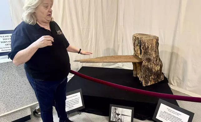 Mary Riseling, coordinator of the commemoration of the 100th anniversary of the March 18 Tri-State Tornado, shows how winds drove a board into the trunk of a maple tree on display at the Jackson County Historical Society on March 11, 2025 in Murphysboro, Ill. (AP Photo/John O'Connor)