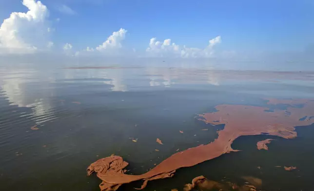 FILE - Crude oil from the BP Deepwater Horizon spill floats on the water with clouds reflected in the sheen on Barataria Bay off the coast of Louisiana on June, 7, 2010. (AP Photo/Charlie Riedel, File)