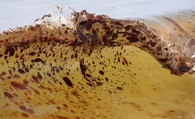 FILE - Crude oil from the Deepwater Horizon oil spill washes ashore in Orange Beach, Ala., on June 12, 2010. (AP Photo/Dave Martin, File)