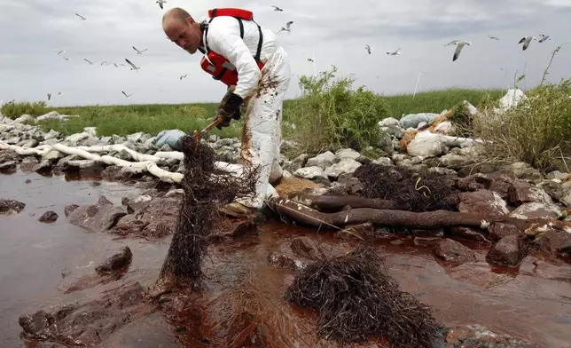 FILE- A worker picks up blobs of oil with absorbent snare on Queen Bess Island at the mouth of Barataria Bay near the Gulf of Mexico in Plaquemines Parish, La., on June 4, 2010. (AP Photo/Gerald Herbert, File)