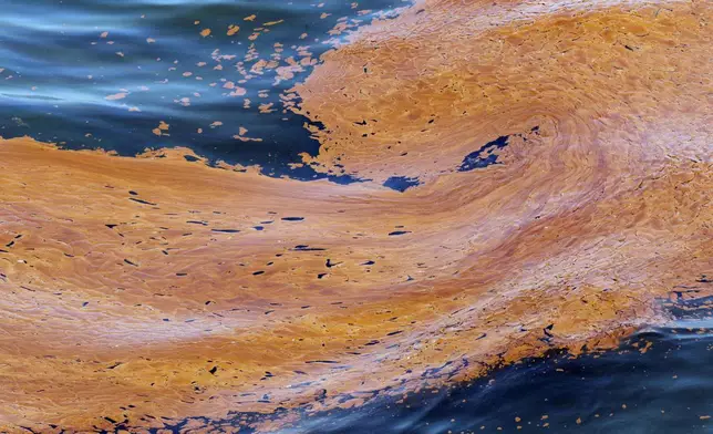 FILE - Oil floats in the waters of Chandeleur Sound, La., on May 4, 2010, two weeks after the explosion of the Deepwater Horizon oil rig in the Gulf of Mexico. (AP Photo/Eric Gay, File)