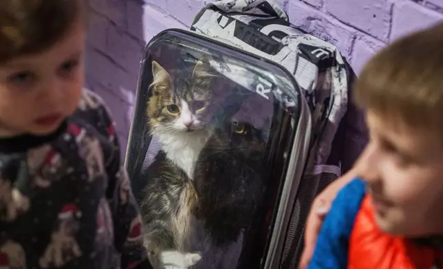 Cats sit in a backpack in a school basement being used as a shelter after a Russian airstrike on a residential neighborhood in Kyiv, Ukraine, on Thursday, April 24, 2025. (AP Photo/Evgeniy Maloletka)