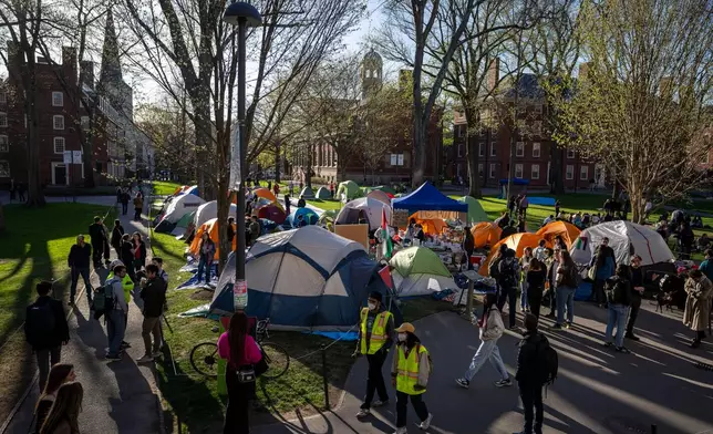 FILE - Students protesting against the war in Gaza, and passersby walking through Harvard Yard, are seen at an encampment at Harvard University in Cambridge, Mass., on April 25, 2024. (AP Photo/Ben Curtis, File)