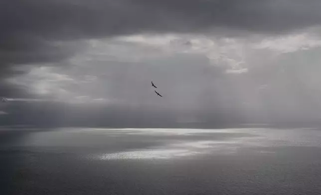 Seagulls fly in the sky above the Aegean Sea as seen from the Monastery of Panagia Hozoviotissa, during a cloudy day, in Amorgos island, Greece, on Sunday, March 30, 2025. (AP Photo/Petros Giannakouris)