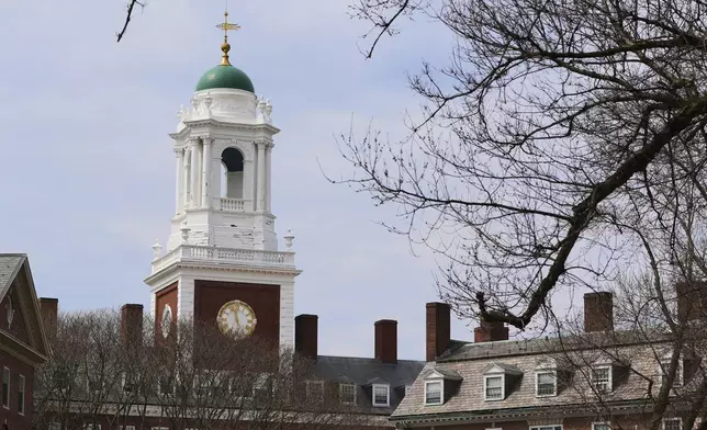 Spring buds appear on a tree near Eliot House, rear, at Harvard University, Tuesday, April 15, 2025, in Cambridge, Mass. (AP Photo/Charles Krupa)