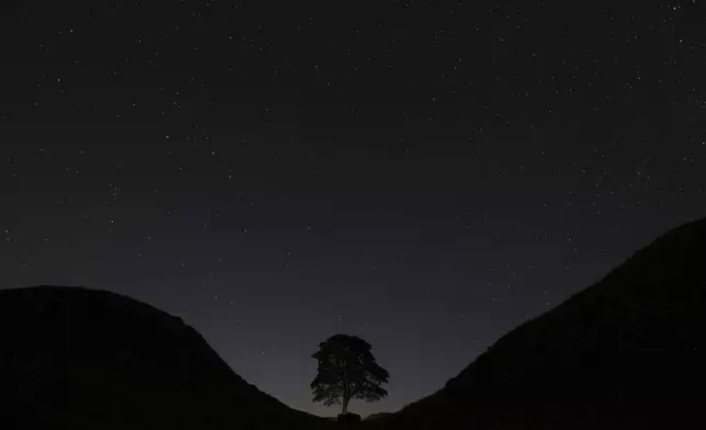 FILE - A general view of the stars above Sycamore Gap, prior to the Perseid Meteor Shower above Hadrian's Wall near Bardon Mill, England, Thursday, Aug. 13, 2015.(AP Photo/Scott Heppell, File)