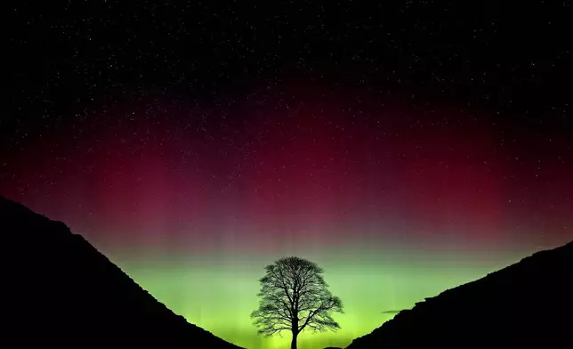 FILE - Northern Lights, or Aurora Borealis, shining over the Sycamore Gap tree, on Hadrian's Wall in Northumberland, England, July 3, 2016. (Owen Humphreys/PA via AP, File)