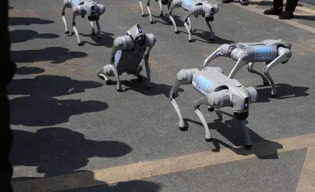 Four legged robots perform before the award ceremony for the Humanoid Robot Half-Marathon held in Beijing on Saturday, April 19, 2025. (AP Photo/Ng Han Guan)