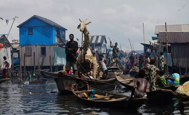 Puppeteers move cardboard animals in canoes at the Makoko Slum in Lagos Nigeria, Saturday, April 19, 2025, as part of "The Herds," a moving theatre performance that started its journey from the Democratic Republic of the Congo to the Arctic Circle in a bid to bring attention to the climate crisis. (AP Photo/Sunday Alamba)