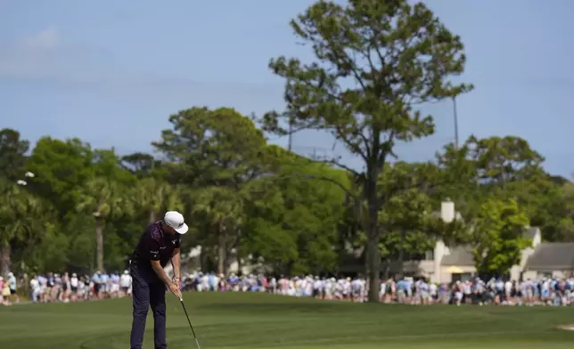 Taylor Pendrith, of Canada, putts on the 16th green during the second round of the RBC Heritage golf tournament, Friday, April 18, 2025, in Hilton Head Island, S.C. (AP Photo/Mike Stewart)
