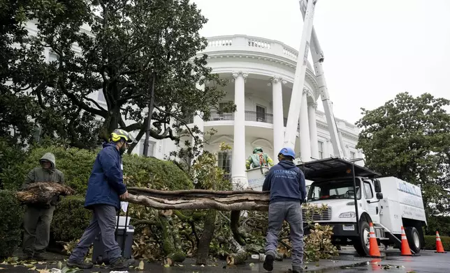Workers remove a magnolia tree believed to have been planted by former President Andrew Jackson, on the South Lawn of the White House in Washington, Monday, April 7, 2025. (Pool via AP)