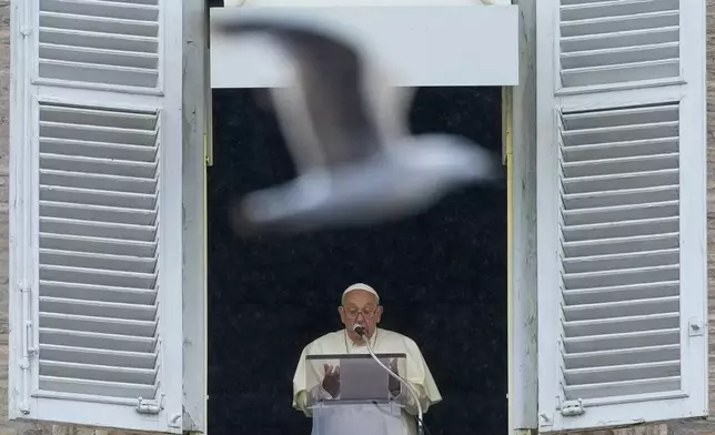 FILE - A seagull flies in front of Pope Francis as he speaks to the faithful gathered under pouring rain in St. Peter's Square at The Vatican for the traditional Sunday's noon blessing after the Angelus prayer, Sunday, June 2, 2024. (AP Photo/Alessandra Tarantino, file)