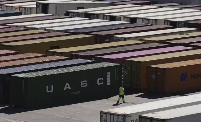 Cargo containers sit at the port in Buenos Aires, Argentina, Monday, April 14, 2025. (AP Photo/Natacha Pisarenko)