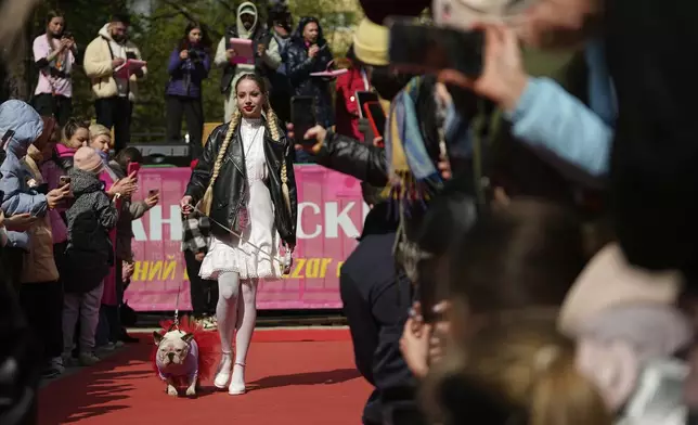 A woman attends the French bulldogs parade at the Vorontsovsky park in Moscow, Russia, Sunday, April 27, 2025. (AP Photo/Pavel Bednyakov)