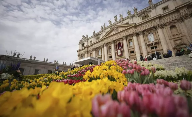 Flowers are set up for the Easter mass in St. Peter's Square at the Vatican Sunday, April 20, 2025. (AP Photo/Andrew Medichini)