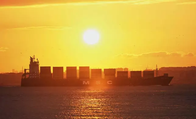 Containers ship MSC Agna II sails across the Bosphorus strait, on its way from Turkey's Asyaport harbor to Georgia's Poti port, in Istanbul, Turkey, Tuesday, April 8, 2025. (AP Photo/Francisco Seco)