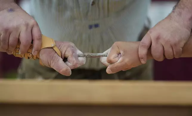 Men dressed in traditional clothes try to pull the opponent over the table at the German Championships in Fingerhakeln or finger wrestling, in Pang, near Rosenheim, Germany, Sunday, April 27, 2025. (AP Photo/Matthias Schrader)