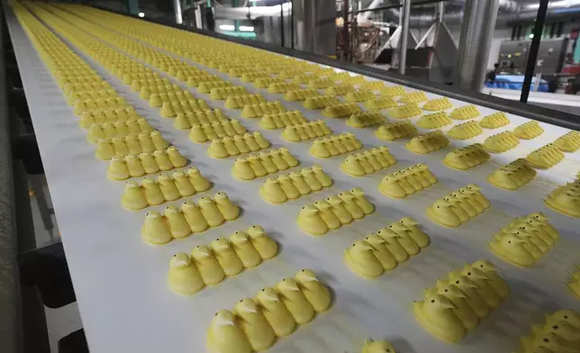 Peeps marshmallow treats move through the manufacturing process at the Just Born factory in Bethlehem, Pa., Thursday, April 10, 2025. (AP Photo/Matt Rourke)
