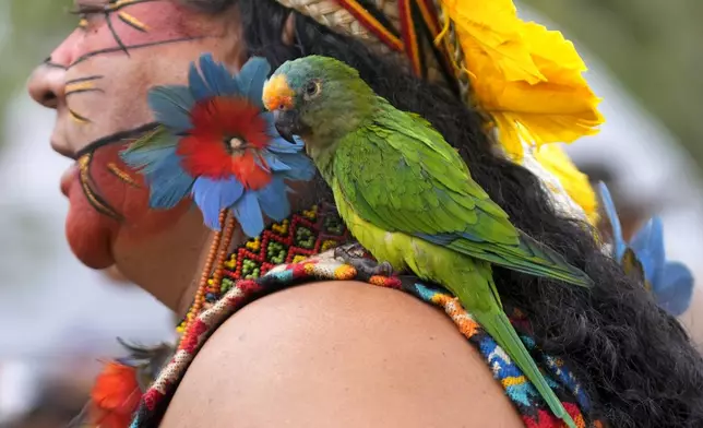A Pataxo Indigenous woman carries her parrot during the week-long Free Earth camp held annually to demand more government attention to Indigenous issues in Brasilia, Brazil, Monday, April 7, 2025. (AP Photo/Eraldo Peres)