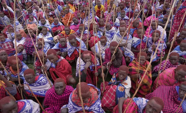 Children of the Maasai tribe gather around during the Enkipaata ceremony, a Maasai male rite of passage, specifically the initiation of boys, marking the transition from childhood to becoming a moran (warrior) in Olaimutiai, Narok County, Kenya Thursday, April 24, 2024. (AP Photo/Brian Inganga)