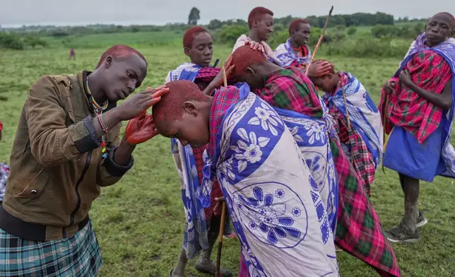 Children of the Maasai tribe paint their hair with the traditional red ochre pigment, during the Enkipaata ceremony, a Maasai male rite of passage, specifically the initiation of boys, marking the transition from childhood to becoming a moran (warrior) in Olaimutiai, Narok County, Kenya Thursday, April 24, 2024. (AP Photo/Brian Inganga)